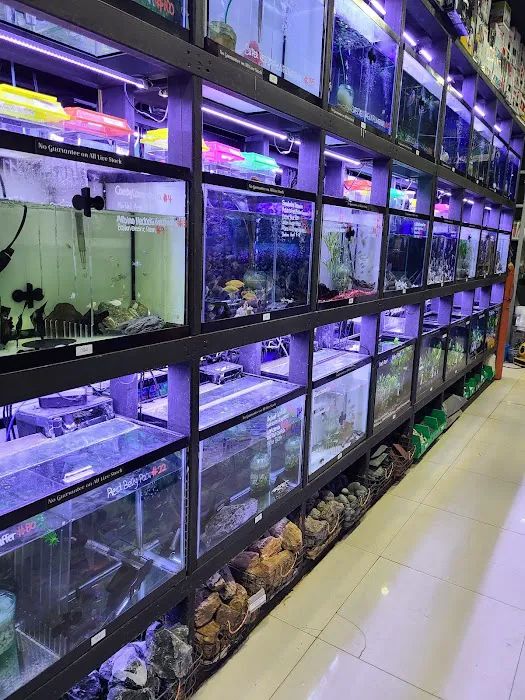 Monster Aquarium Inc - Shop in Queens New York Picture 10