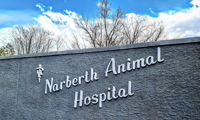 Narberth Animal Hospital Picture 4