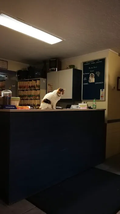 Narberth Animal Hospital Picture 6