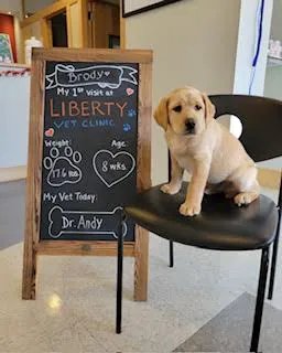 Liberty Veterinary Clinic Picture 6