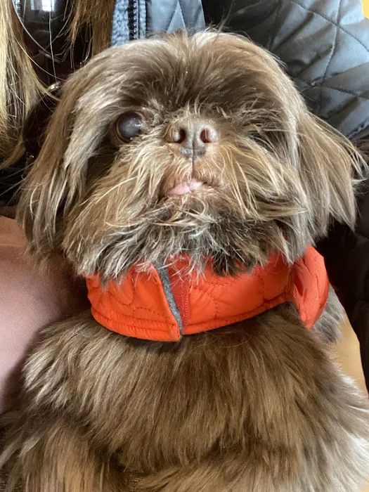 Gladwyne Animal Hospital Picture 1