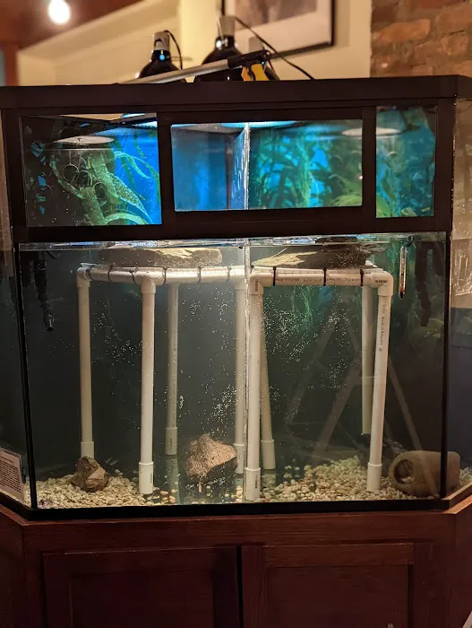 Reef Ryders Aquarium Service And Maintenance Picture 10