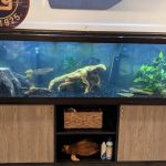 Reef Ryders Aquarium Service And Maintenance