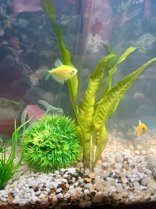 Reef Ryders Aquarium Service And Maintenance Picture 8