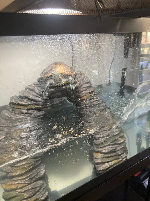 Reef Ryders Aquarium Service And Maintenance Picture 4