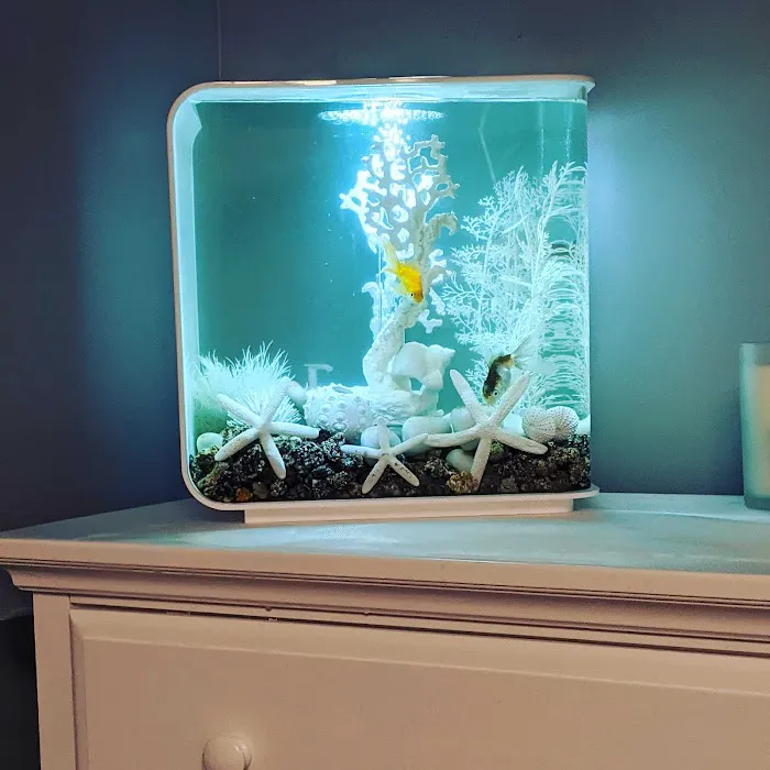 Reef Ryders Aquarium Service And Maintenance Picture 5