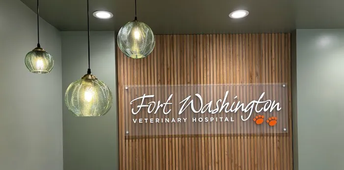 Fort Washington Veterinary Hospital at Flourtown Picture 5