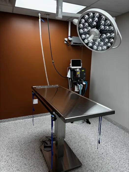 Fort Washington Veterinary Hospital at Flourtown Picture 6