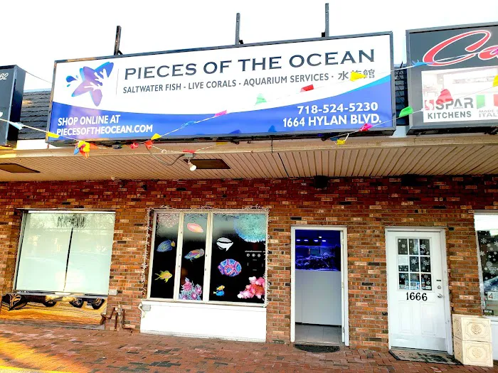 Pieces of the Ocean Picture 1