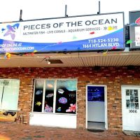 Pieces of the Ocean ico