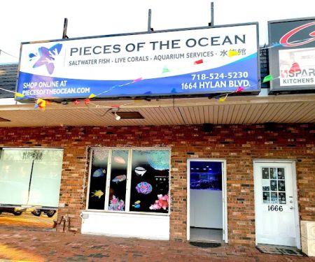 Pieces of the Ocean