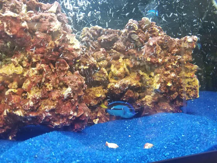 Fishtopia Picture 4