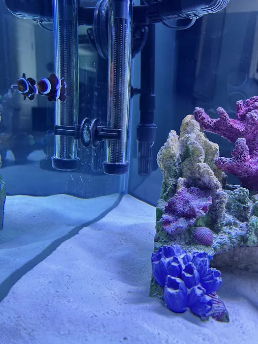 Fishtopia Picture 2