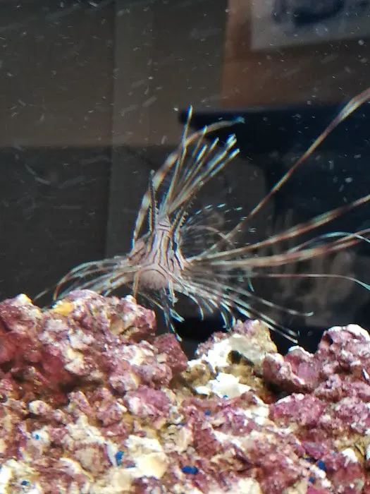 Fishtopia Picture 10