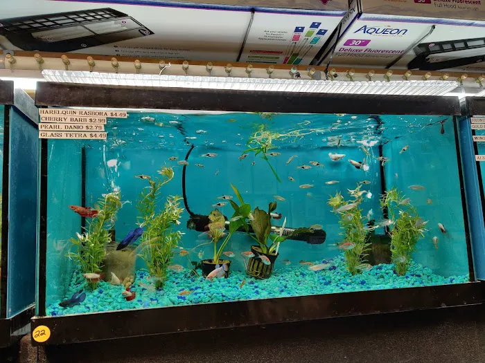 Fishtopia Picture 8