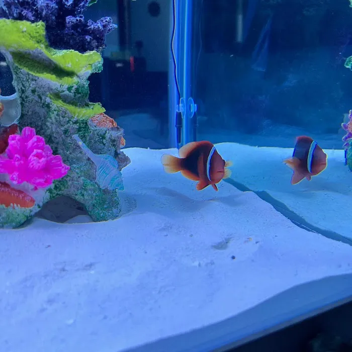 Fishtopia Picture 6