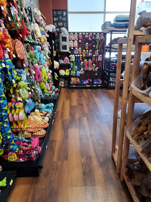 Whole Pets Market Picture 9
