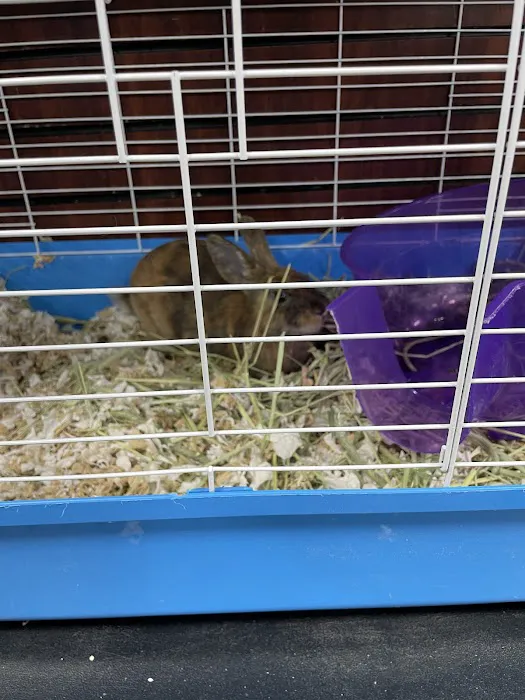 Whole Pets Market Picture 6
