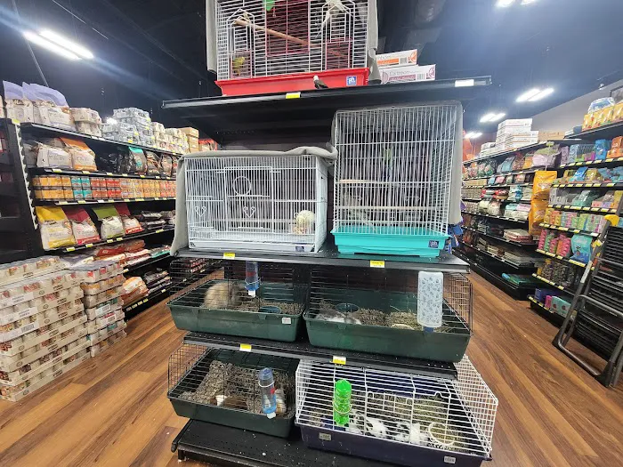 Whole Pets Market Picture 3