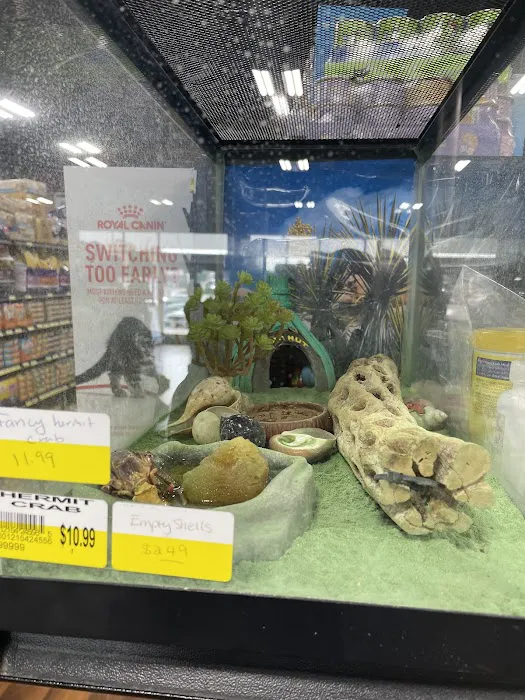 Whole Pets Market Picture 10