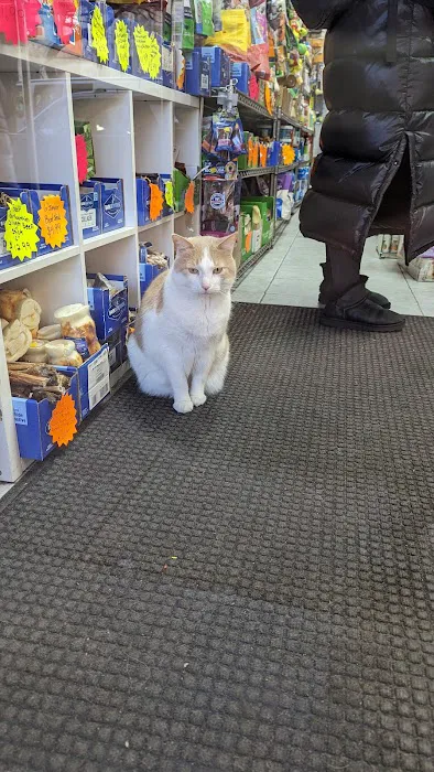 The Pet Market Picture 5