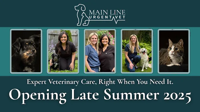 Main Line Urgent Vet Picture 2
