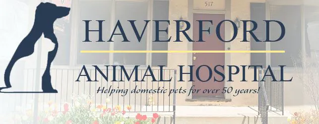 Haverford Animal Hospital Picture 1