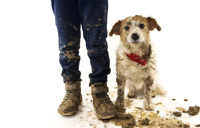 Pet Resources Picture 9
