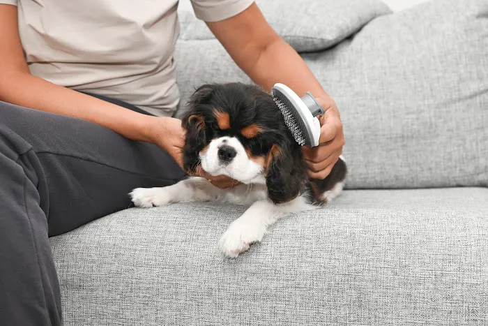 Pet Resources Picture 2