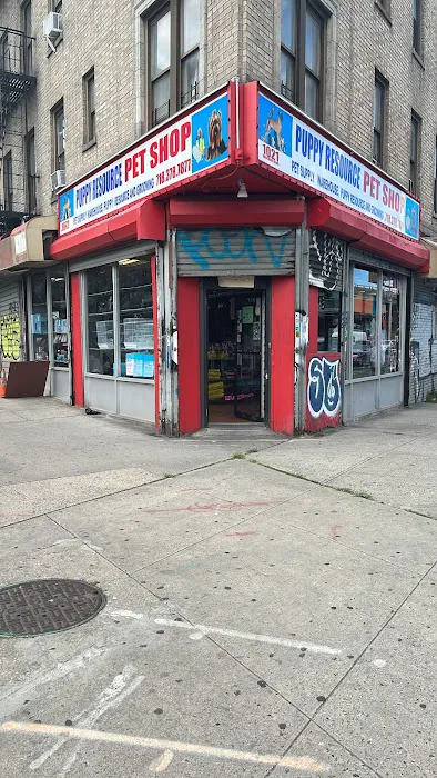 Uno Stop Pet Shop Picture 1