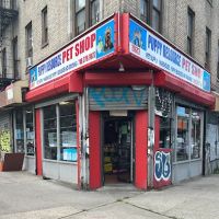 Uno Stop Pet Shop ico