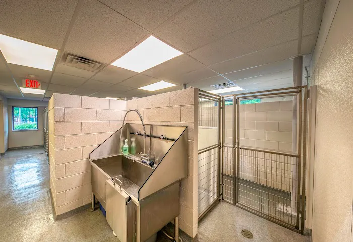 Montgomery Animal Hospital Picture 10