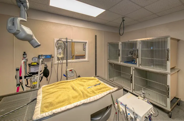 Montgomery Animal Hospital Picture 2