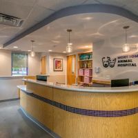 Montgomery Animal Hospital ico