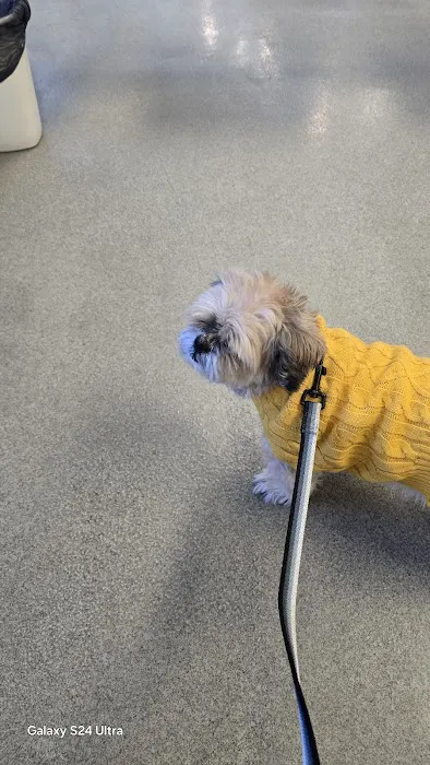 Montgomery Animal Hospital Picture 8