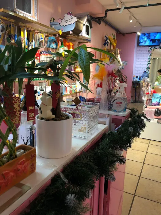 Pet Home - 萌宠之家 Picture 5