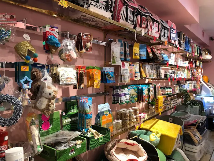 Pet Home - 萌宠之家 Picture 8