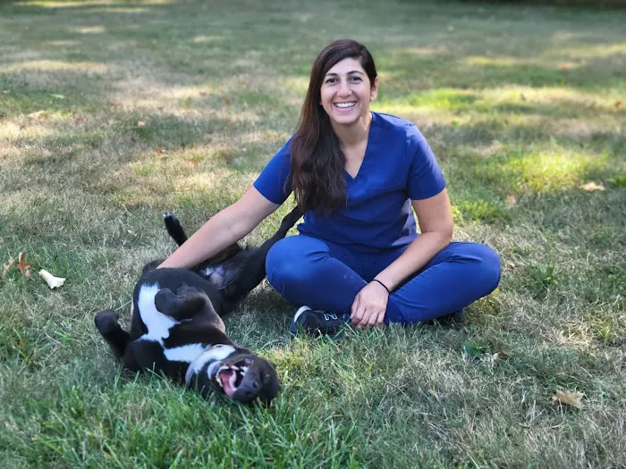 Spring Mill Veterinary Hospital Picture 3