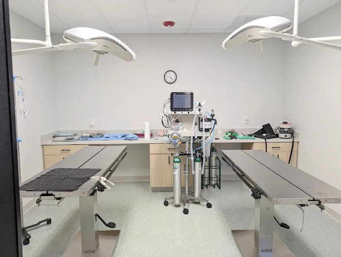 Spring Mill Veterinary Hospital Picture 4
