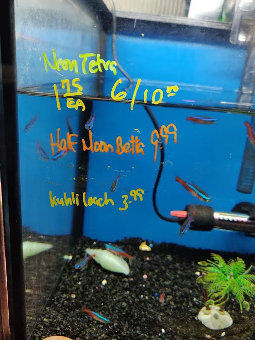 Northern Aquarium pet Picture 9