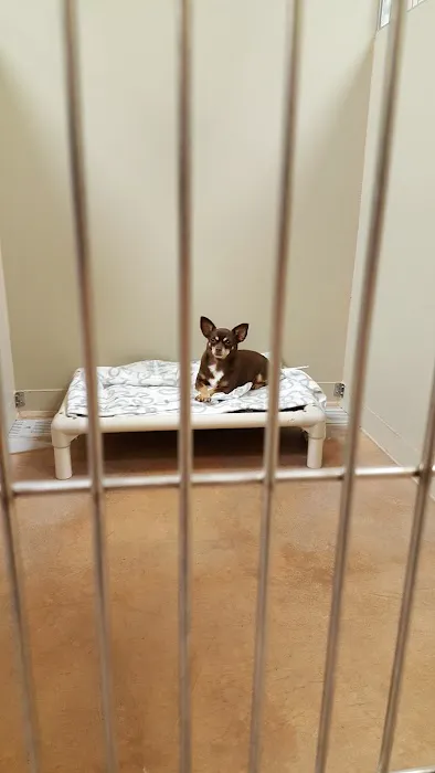 Banfield Pet Hospital Picture 6