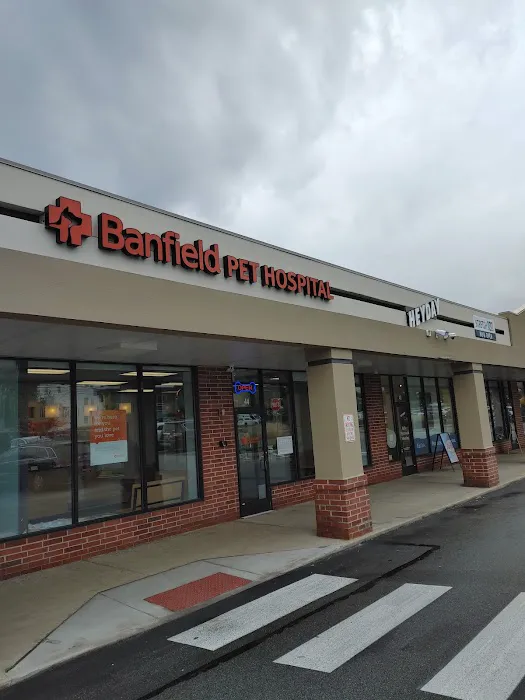 Banfield Pet Hospital Picture 4