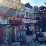 Kissena Aquarium Inc