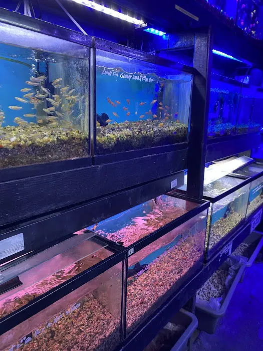 Kissena Aquarium Inc Picture 2