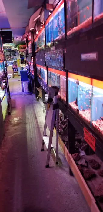 Kissena Aquarium Inc Picture 5