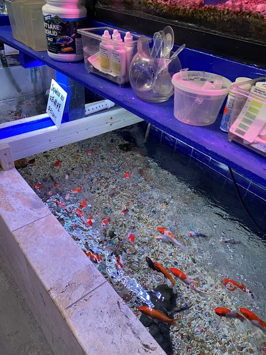 Kissena Aquarium Inc Picture 4
