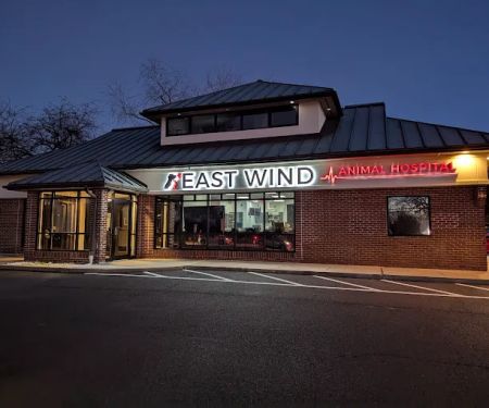 East Wind Animal Hospital