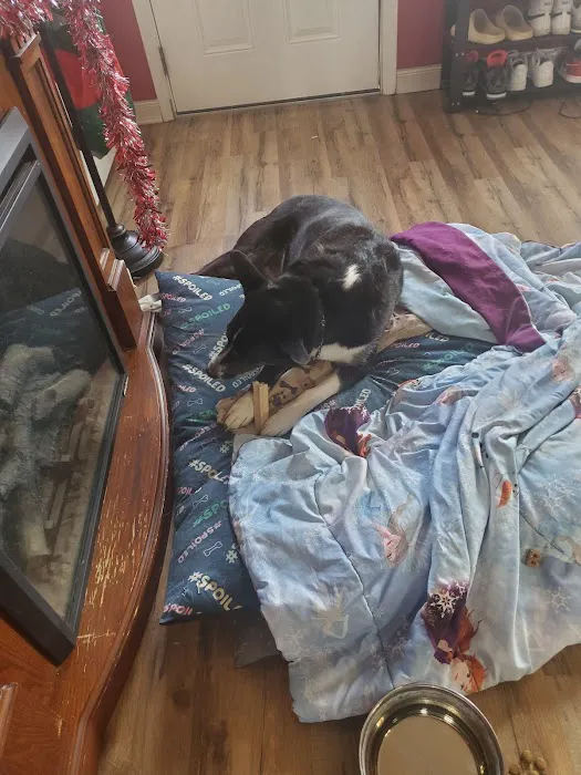 East Wind Animal Hospital Picture 3