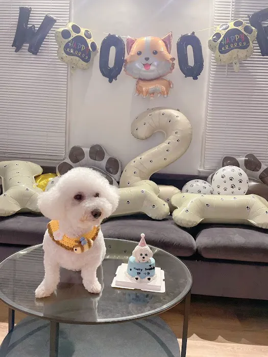 FURRY FRIENDS PET BAKING Picture 1
