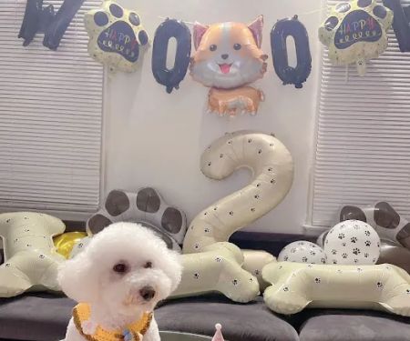 FURRY FRIENDS PET BAKING